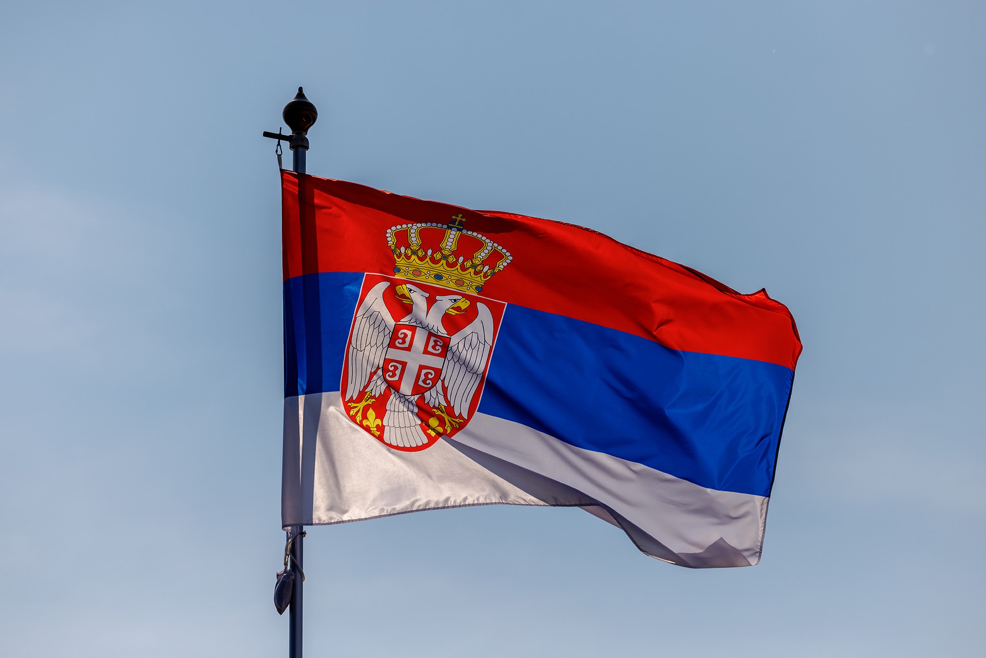 Регистрация компании в Сербии с нуля