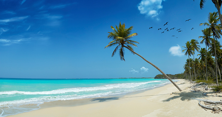 open an offshore firm in the Caymans
