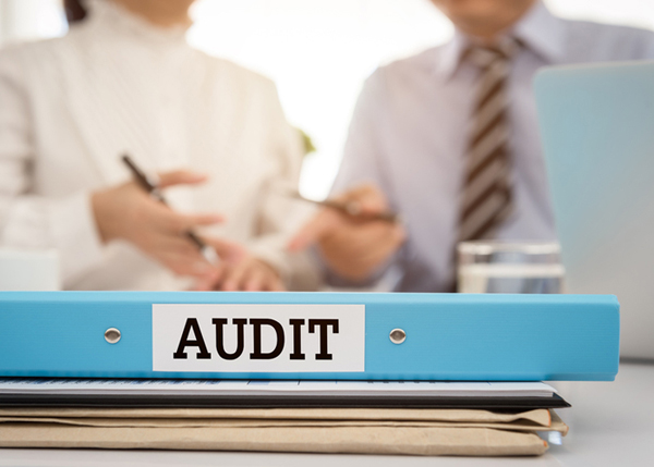Required auditing in an Estonian company and the price of the service