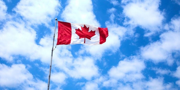 MSB License in Canada for International Business