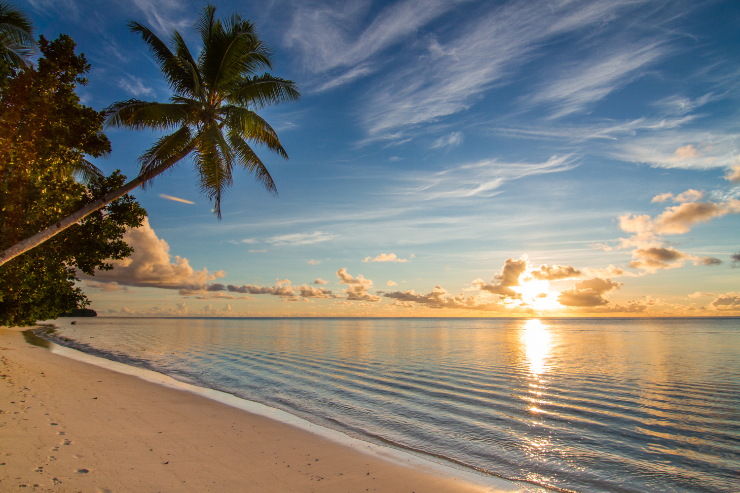 Marshall Islands: the ideal jurisdiction to start a business in 2024