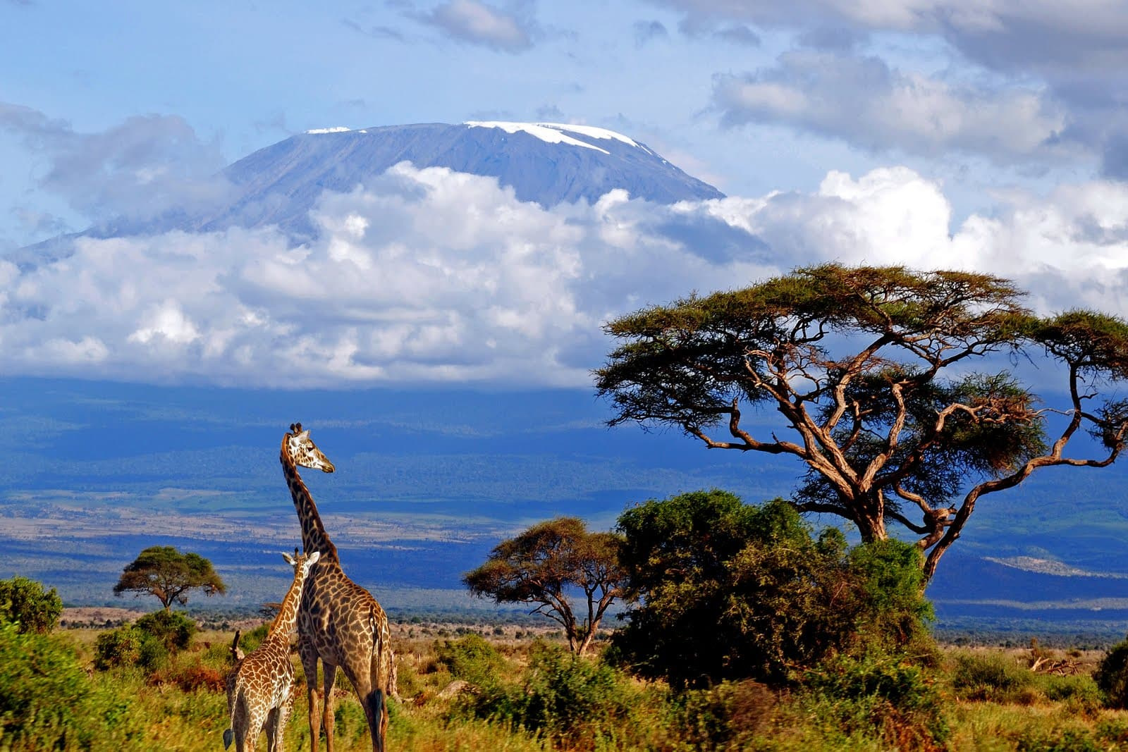 Obtaining Tanzanian citizenship in 2024: what you need to know?