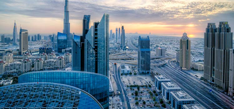 FreeZone компания и виза в ОАЭ: престижное решение в 2021 году 