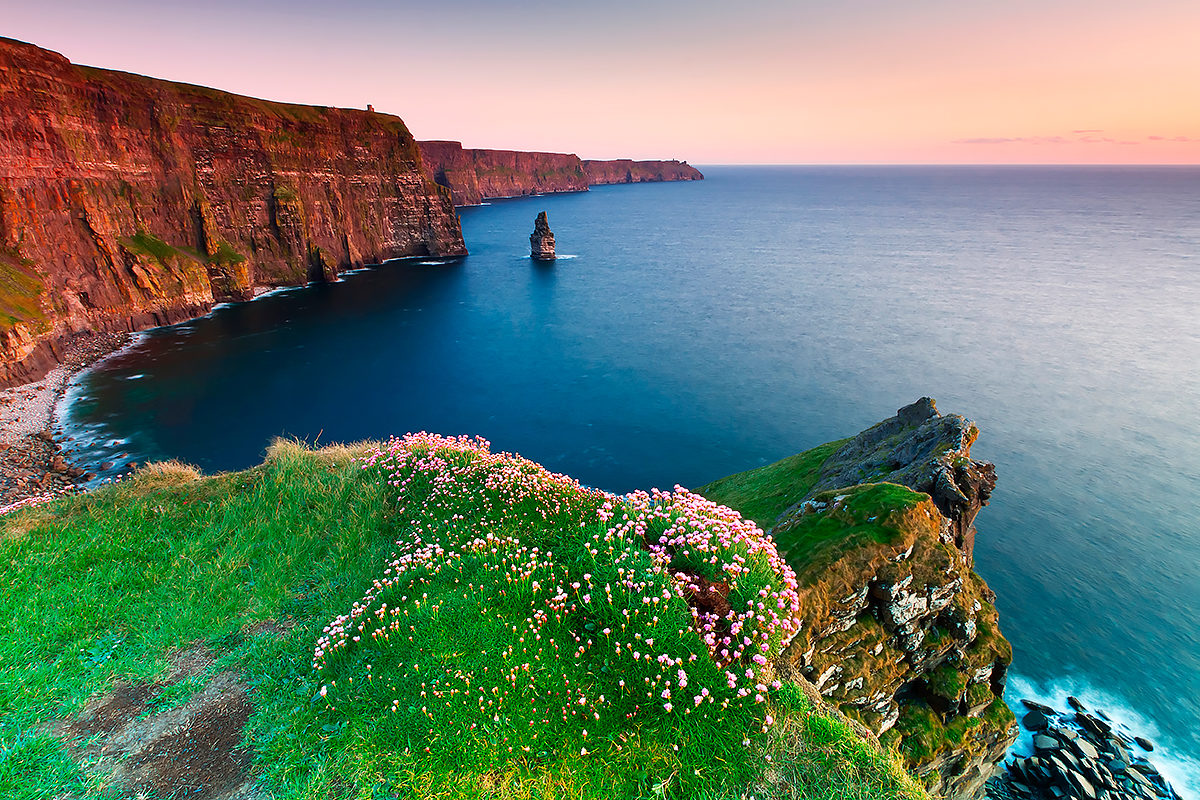Registering a company in Ireland: rules and useful tips 