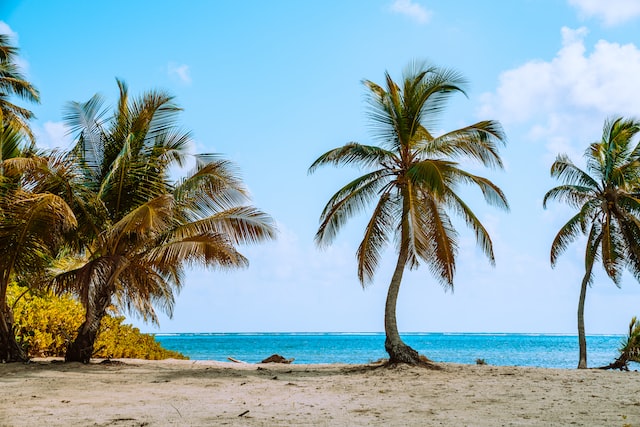IBC opening in Belize in 2023
