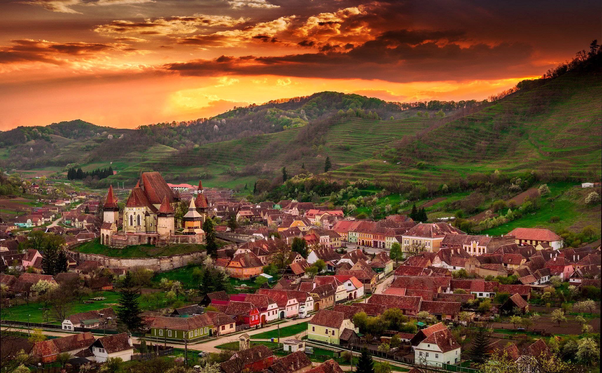 turkey
