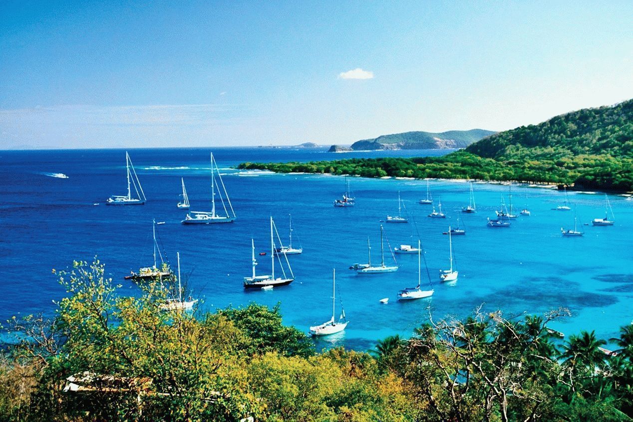 Saint Vincent and the Grenadines: reasons to buy the company