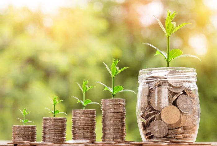 Инвестиционная лицензия на Вануату (Forex, ДУ, Деривативы)