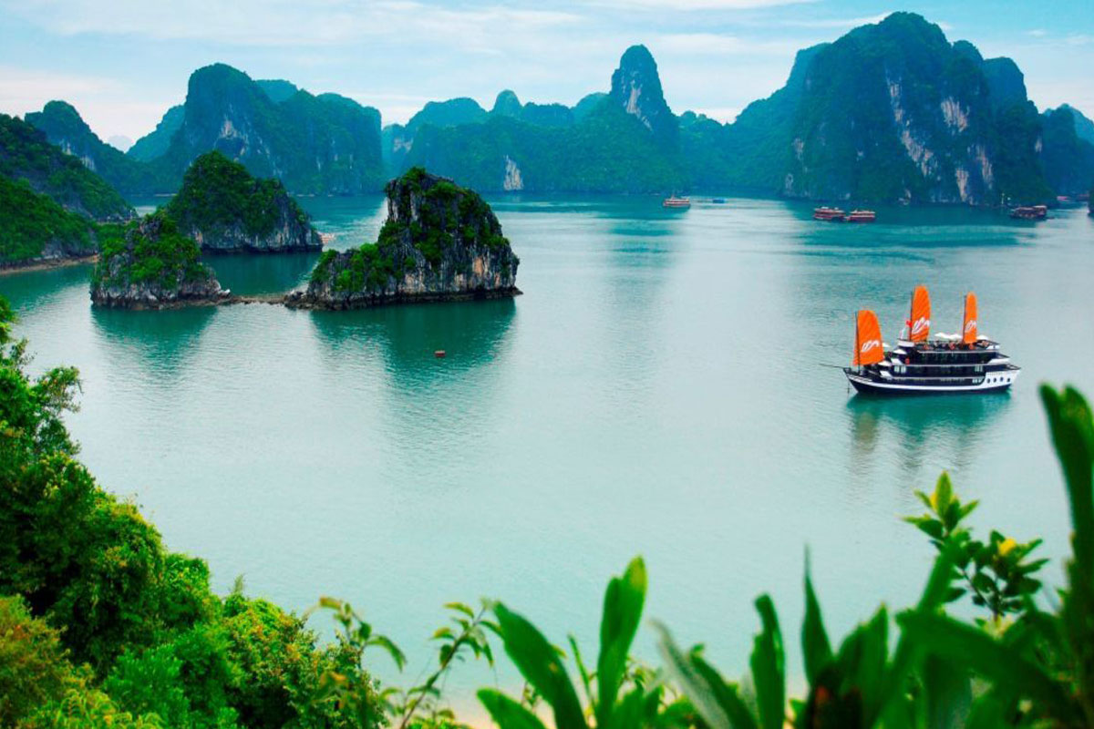 How to open an offshore company in Vietnam 2021